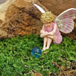 Tiny Tim Fairy Fern Live Plant - Leptinella - 2.5