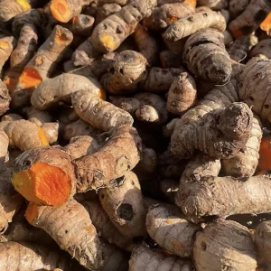 Turmeric Root 1/2 Pound - Fresh Culinary Spice Rhizome - Image 1