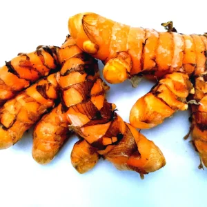Turmeric Variety Pack - 1 Red, 1 Orange, 1 White Mother Rhizome - 3 Live Rhizomes - Image 7
