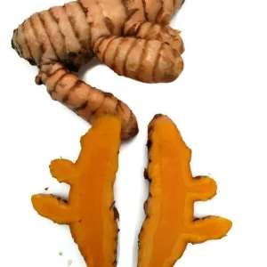 Turmeric Variety Pack - 3 Mother Rhizomes (Black, Orange, White) - Home Gardener Special - Image 5