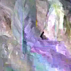 Variegated Banana Tree Live Plant - Yellow & Green Leaves - Tropical Indoor/Outdoor - Image 1