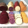 Variety Sweet Potato Slips - 20 Slips: Purple, Okinawa, Japanese Red, Beauregard - Image 1