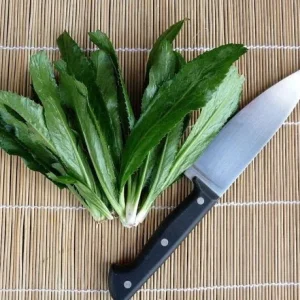 Vietnamese Culantro Seeds - Heirloom Ngo Gai, Non-GMO, Tabasco Parsley - Image 2