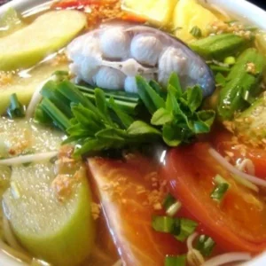 Vietnamese Taro Plant Bac Ha Doc Mung Thai Elephant Ear Live Plant 8 inches - Image 11