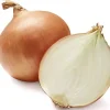 Walla Walla Onion Seeds - 100+ Heirloom Vegetable Seeds - Allium - Indoor/Outdoor - Image 1