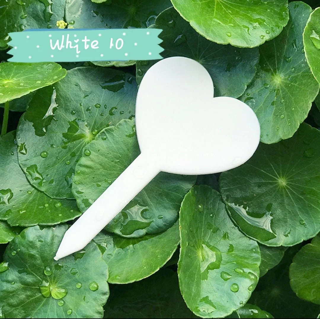 Waterproof Plastic Plant Tags for Garden & Nursery - Image 2