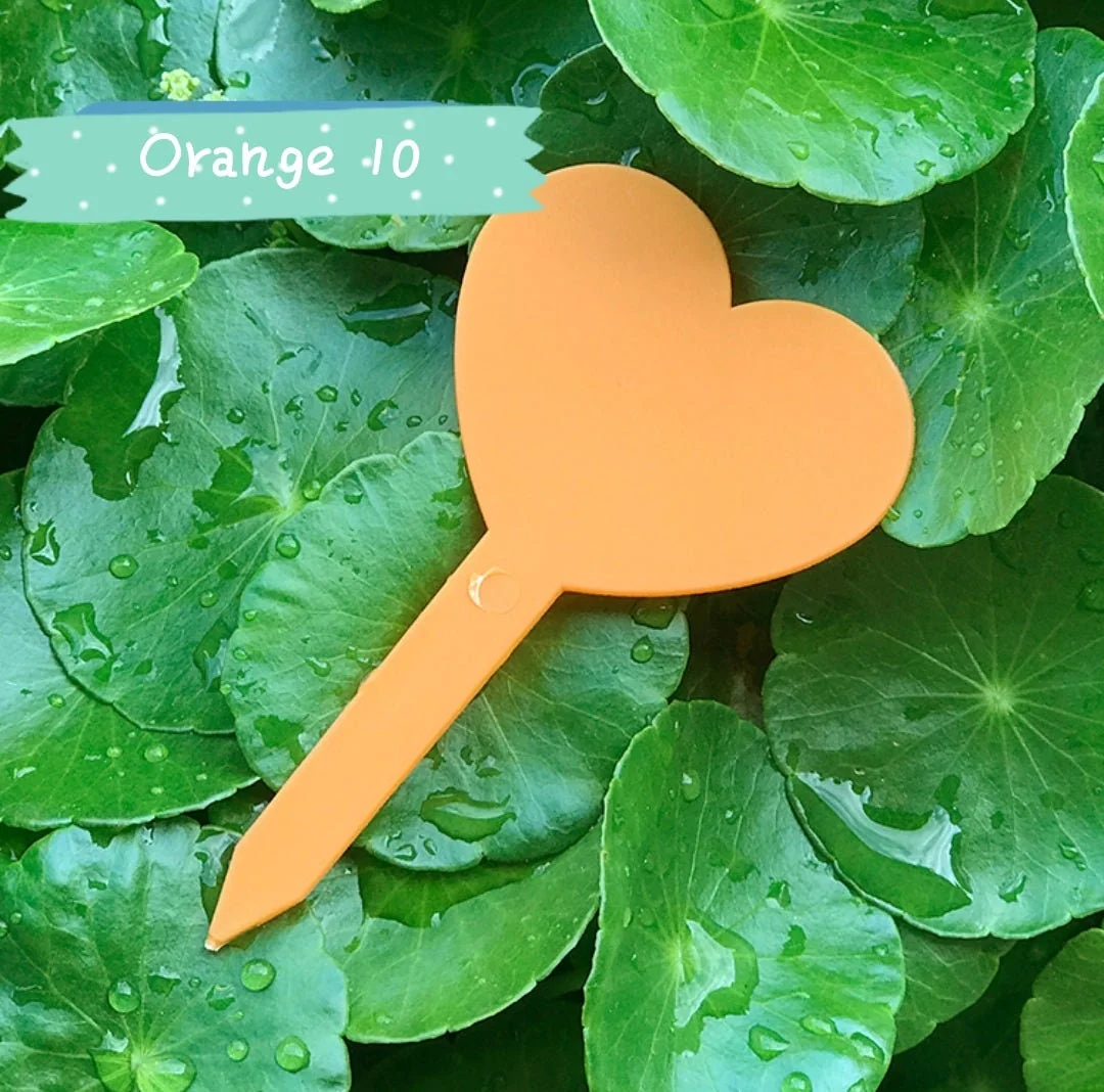 Waterproof Plastic Plant Tags for Garden & Nursery - Image 7