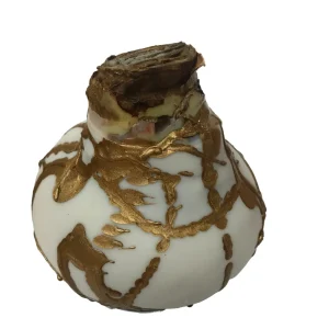 White & Gold Splatter Waxed Victoria Amaryllis Bulb 36/38 - Easy Care Indoor Flower Bulb - Image 4