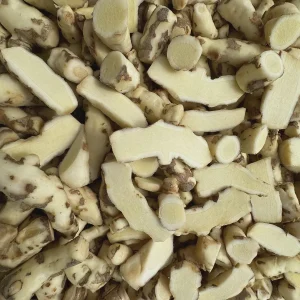 White Turmeric Rhizomes for Planting - Mango Ginger - Live Plant - Image 1