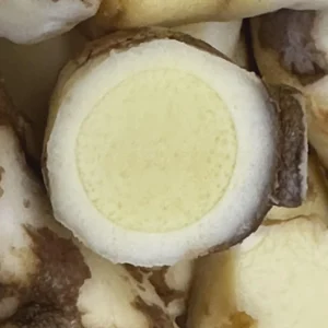White Turmeric Rhizomes for Planting - Mango Ginger Living Curcuma Amada - Image 2