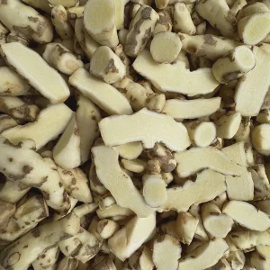 White Turmeric Rhizomes for Planting - Mango Ginger Living Curcuma Amada - Image 1