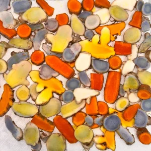 White Turmeric Rhizomes for Planting - Mango Ginger - Live Plant - Image 4