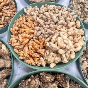 White Turmeric Rhizomes for Planting - Mango Ginger Living Curcuma Amada - Image 6