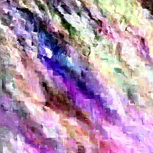 Wild Blackberry Bush Cuttings - 12 Unrooted Rubus allegheniensis | Outdoor - Image 4