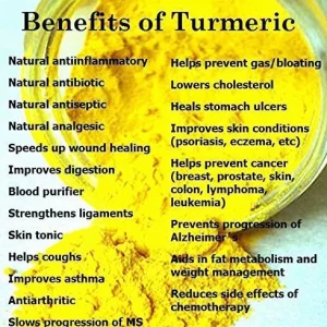 Wild Turmeric Root 30 LB - Fresh, Fiji Grown, High Curcumin, Non-GMO - Image 3