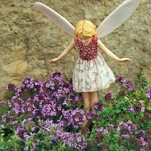 Wine & Roses Thyme Live Plant - 2.5