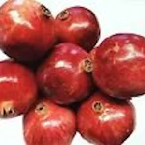 Wonderful Pomegranate Fruit Tree Live Plant - Edible Punica Granatum - Image 4
