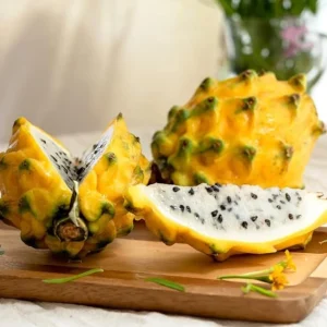 Yellow Dragon Fruit Live Plant - 3-6