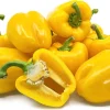 Yellow Pepper Seeds - 15 Count - Spicy & Productive Bush Variety - Image 1