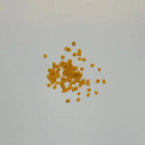 Yellow Pepper Seeds - 15 Count - Spicy & Productive Bush Variety - Image 3