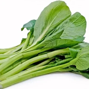 Yu Choy Sum Seeds - Heirloom Non-GMO Cabbage Seeds - Jung Green, Flowering Brassica - Image 3