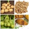 Yukon Potato Seeds - 70 True Heirloom Botanical Seeds for Outdoor Planting - Image 1