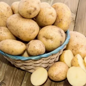 Yukon Potato Seeds - 70 True Heirloom Botanical Seeds for Outdoor Planting - Image 2
