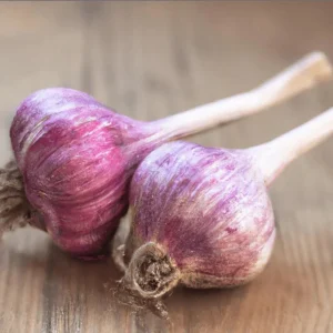 1 Lb Red Russian Hardneck Garlic Bulbs for Planting & Gardening - Image 5