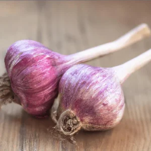 1 Lb Red Russian Hardneck Garlic Bulbs for Planting – Gardening - Image 5