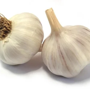 1 Pound Polish Hardneck Garlic Bulbs for Planting - White Garlic Tubers - Image 5
