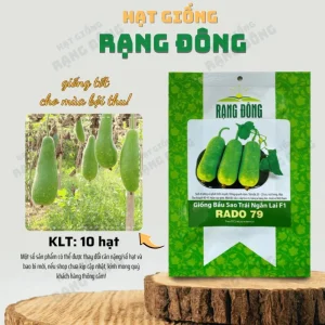 10 F1 Short Wax Gourd Seeds for Planting - Hybrid Bottle Gourd Seeds - Image 2