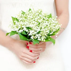 10 Lily of the Valley Roots for Planting - Hardy Perennial White Flowers, Fragrant Ground Cover Bulbs - Image 3