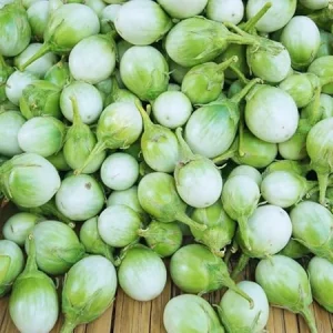 100 Eggplant Seeds - White & Green Eggplants for Outdoor Garden - Image 2