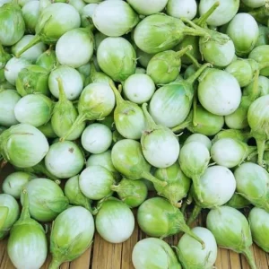 100 Eggplant Seeds - White & Green Eggplants for Outdoor Garden - Image 4