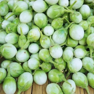 100 Eggplant Seeds - White & Green Eggplants for Outdoor Garden - Image 6