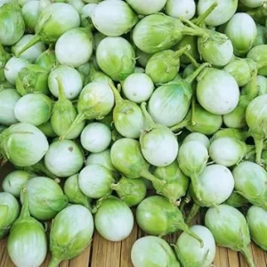 100 Eggplant Seeds - White & Green Eggplants for Outdoor Garden - Image 1