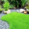 10000 Zoysia Grass Seeds - Drought & Heat Tolerant Lawngrass - USDA Zones 6-11 - Image 1