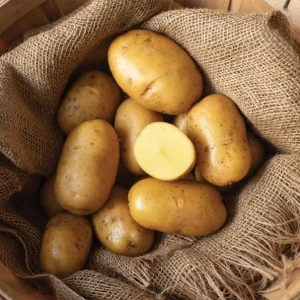 140 Mix Potato Seeds for Planting - Heirloom Vegetable Seeds - Image 6