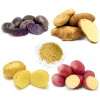 140 Mix Potato Seeds for Planting - Heirloom Vegetable Seeds - Image 1