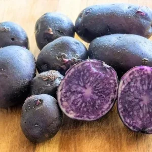 140 Purple Potato Seeds - Sweet Potato Seeds for Planting, Easy Grow - Image 3