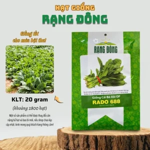 20 Gr (2800 Seeds) Spinach Seeds for Planting, Garden Vegetable Seeds - Image 3