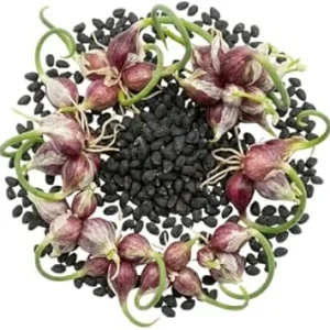200 Walking Onion Seeds - Cold Hardy Perennial, Fast-Growing, High Yield - Image 1