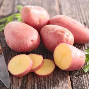 210 Red Potato Seeds for Planting - Easy to Grow, High Yield - Image 3