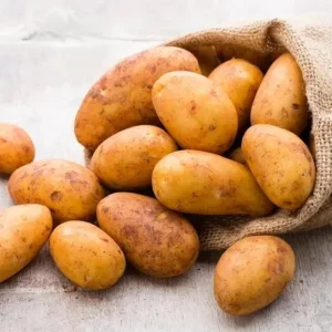 210 Russet Potato Seeds for Planting - Heirloom Vegetable Seeds - Image 2