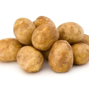 210 Russet Potato Seeds for Planting - Heirloom Vegetable Seeds - Image 3