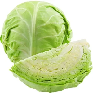 3 Cabbage Live Plants - Cold Hardy Vegetable, 3-5 Inch Tall in 4 Inch Pot - Image 6