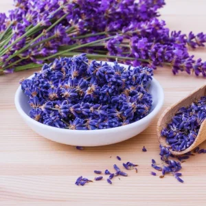 3 Lavender Live Plants – Hardy Fragrant Herb – 4-6 Inches Tall – Full Sun - Image 3