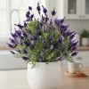 4 Lavender Live Starter Plants 4-6" Tall – Hardy Perennial for Garden - Image 1