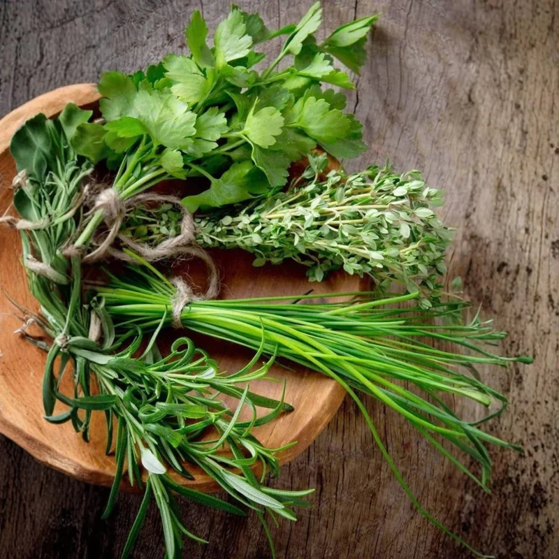 4 Mixed Herb Live Plants Assortment 4-8'' Tall - Lemon Balm, Mint, Rosemary, Edible & Fragrant for Indoor/Outdoor Gardens - Image 7