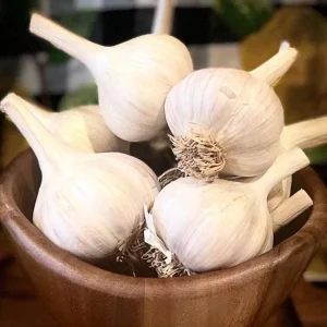 4 Music Garlic Bulbs for Planting - Hardneck Garlic for Home Garden - Image 3